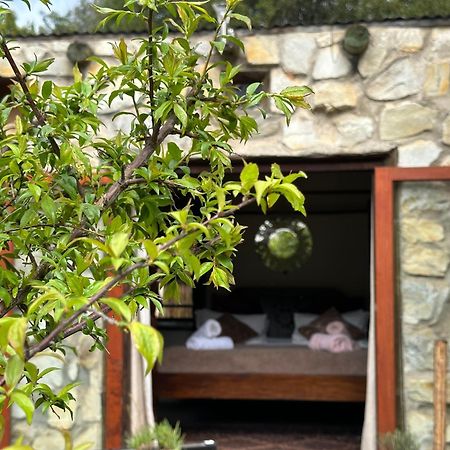 Stormsriver Backpackers Dijembe Stormsrivier Zewnętrze zdjęcie