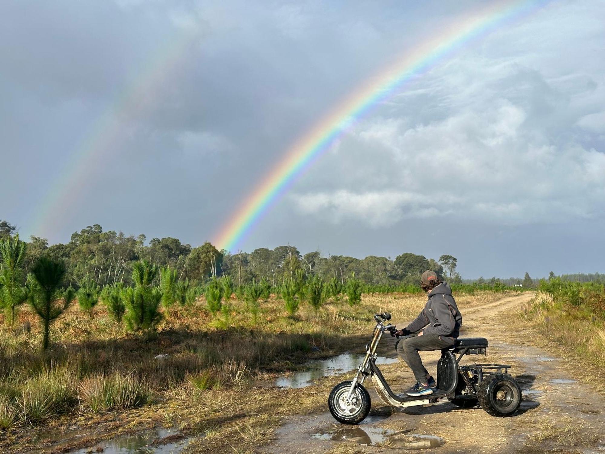 Stormsriver Backpackers Dijembe Stormsrivier Zewnętrze zdjęcie